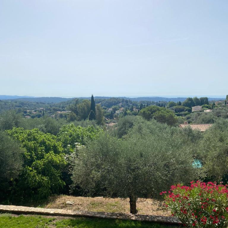 La Cigaliere - Villa - 13