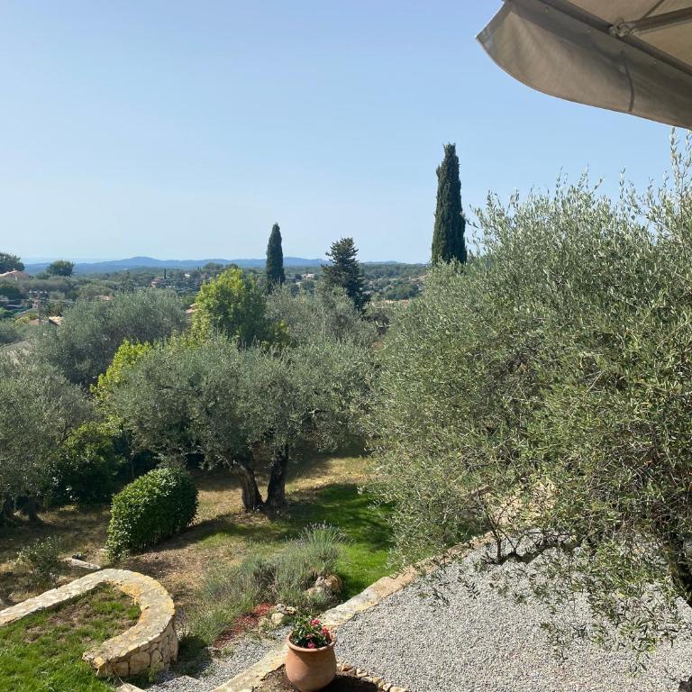 La Cigaliere - Villa - 23