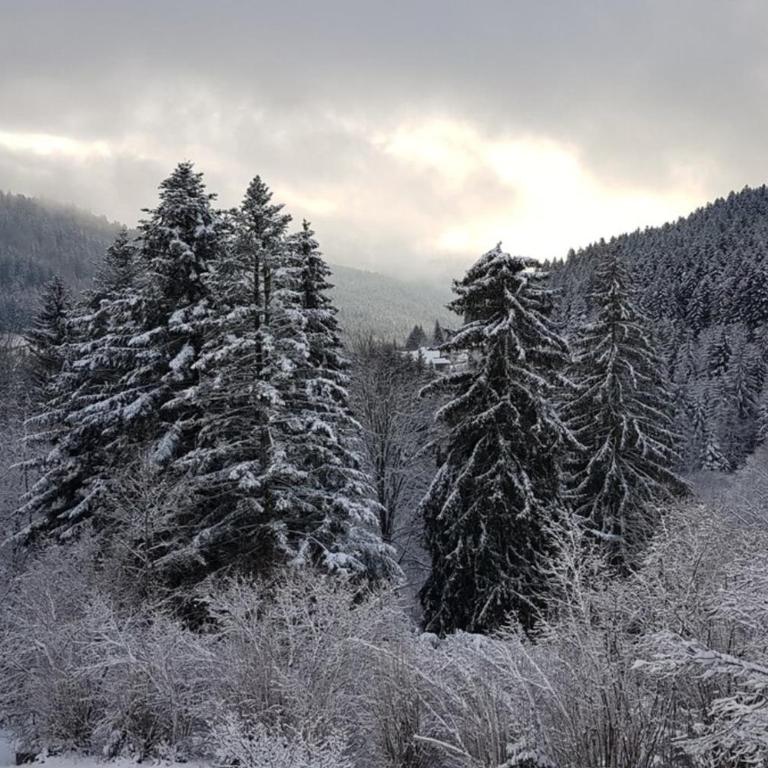 Le Carnotzet - Chalet de Standing - JacuzziSauna - Chalet - 33