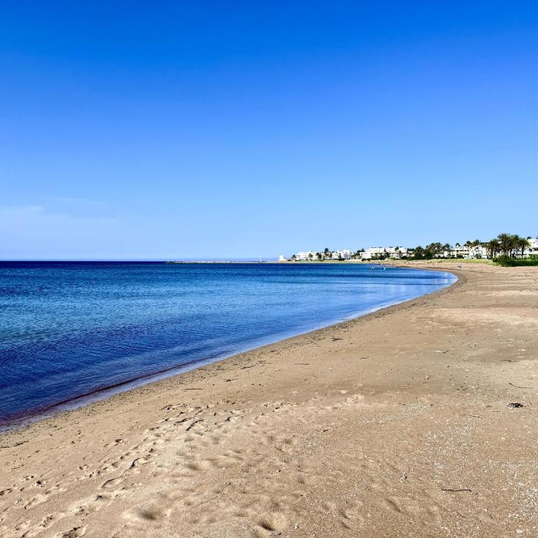 Ocean Beach By Gloove - Apartamento - Planta baja - 23