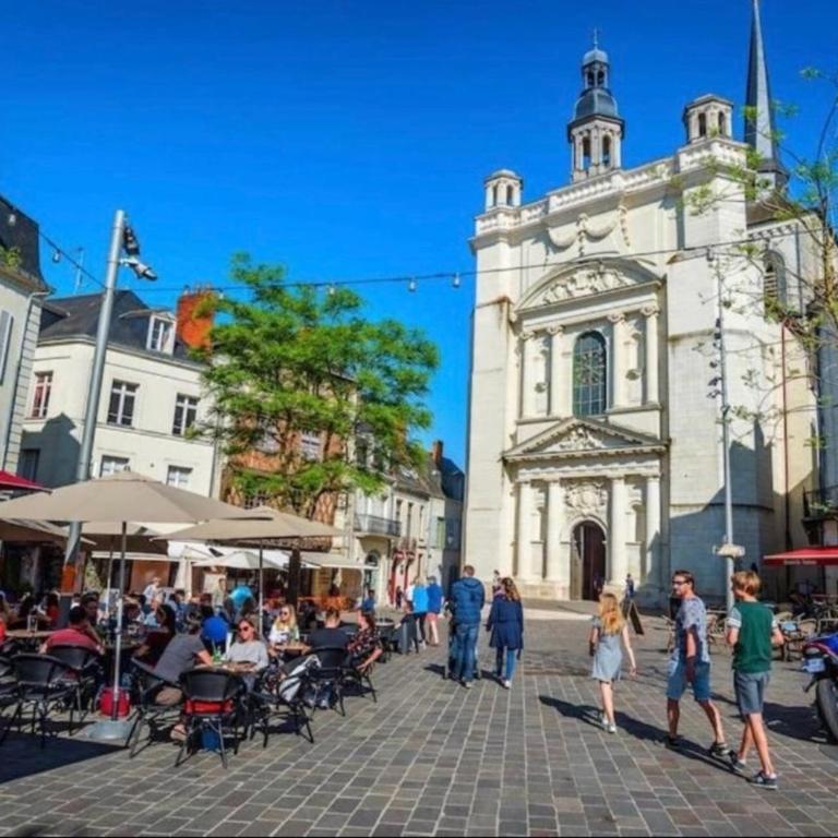 La Propriété de Bacchus - Le Bois Dormant - Charme & Tuffeau - Saumur Centre - 7 personnes - Appartement Supérieur - 18