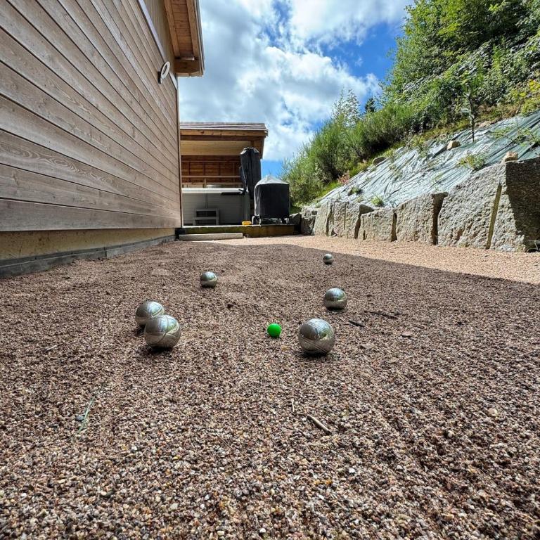 Chalet Les Ecureuils - 12 pers - Spa - Piscine - Chalet - 35