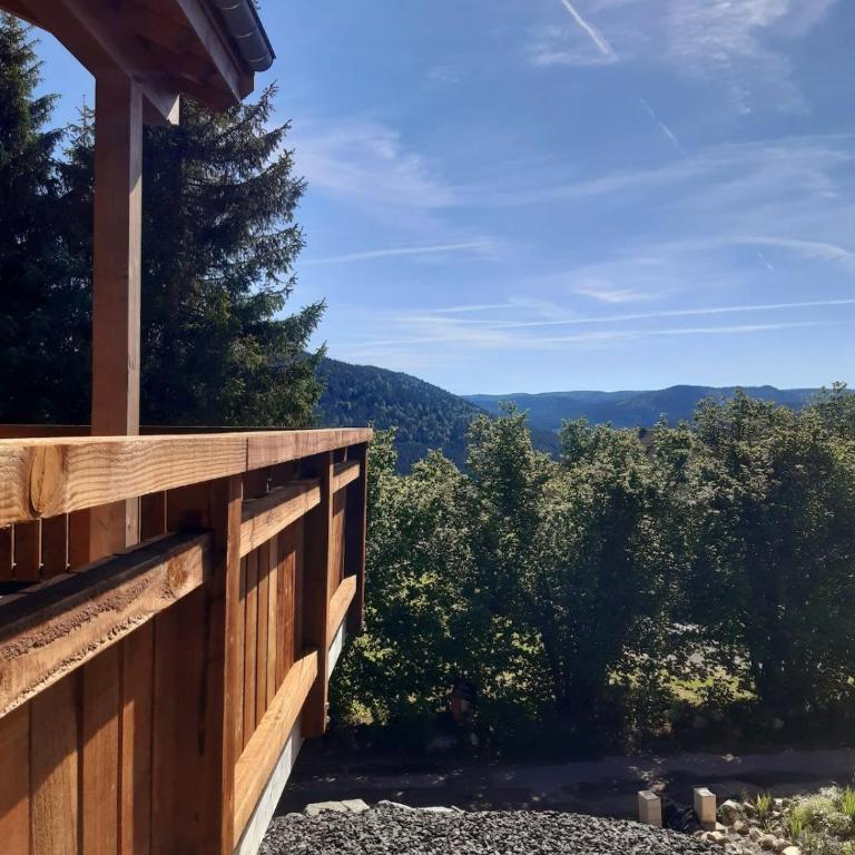 Chalet Les Ecureuils - 12 pers - Spa - Piscine - Chalet - 40