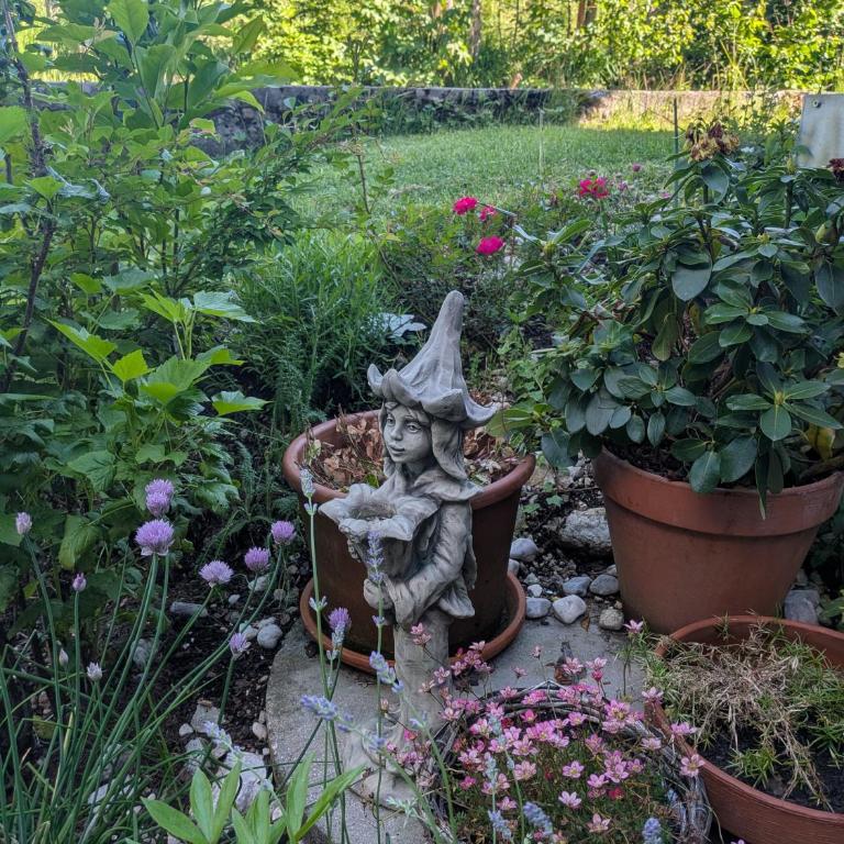 Apartment Trauninsel - Appartement 1 Chambre - 2