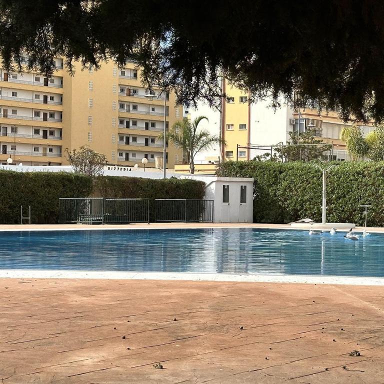 Terrasol Apartamento Trinidad 7 - Appartamento - 5