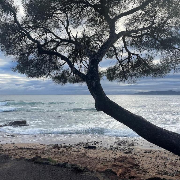 Villa renovée en 2025, proche de la plage - Saint-Raphaël - Casa con 2 Camere da Letto - 26