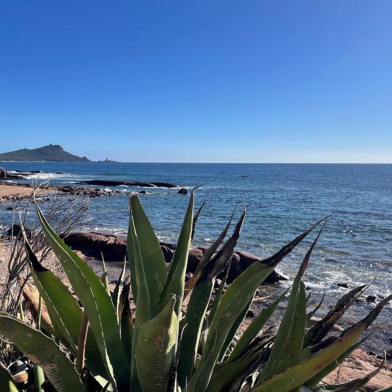 Villa renovée en 2025, proche de la plage - Saint-Raphaël - Casa con 2 Camere da Letto - 31