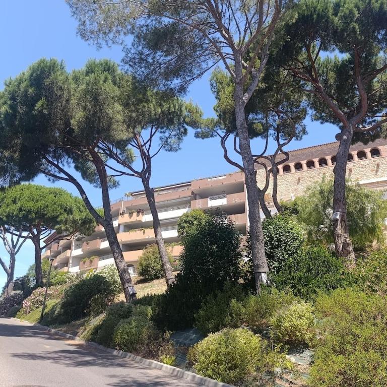 T2 très lumineux et vue mer - Appartement 1 Chambre - 25