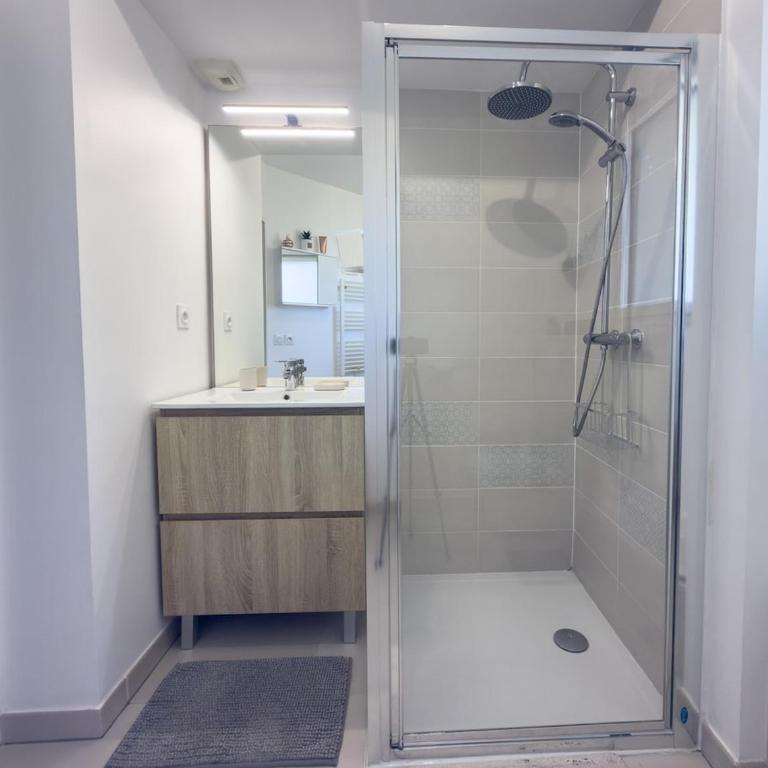 T2 très lumineux et vue mer - Appartement 1 Chambre - 15