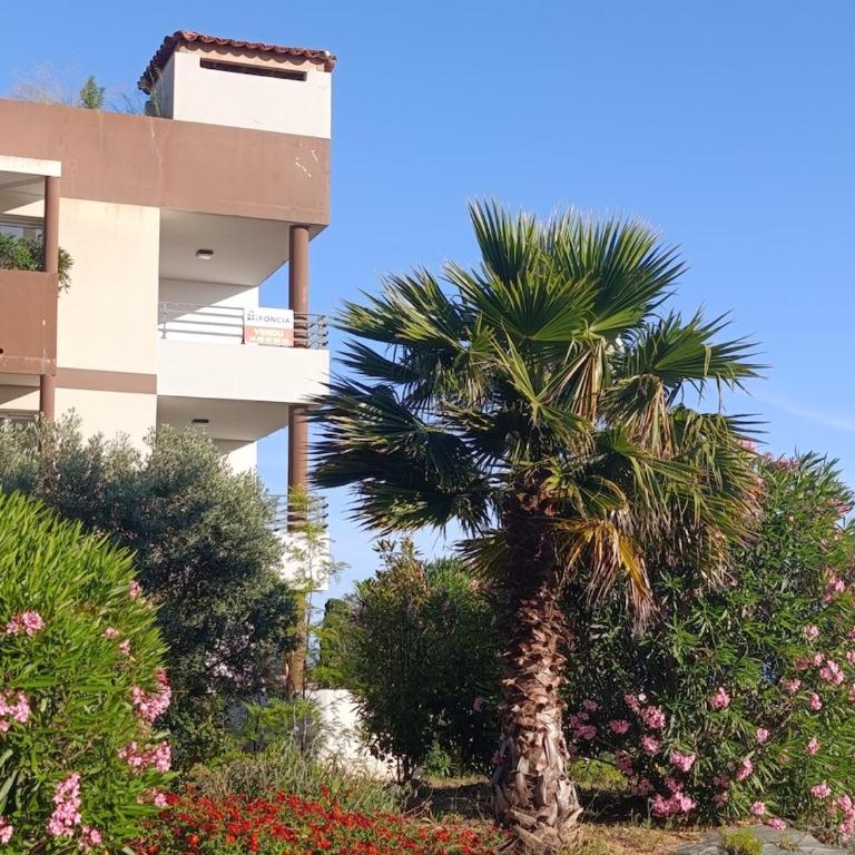 T2 très lumineux et vue mer - Appartement 1 Chambre - 23
