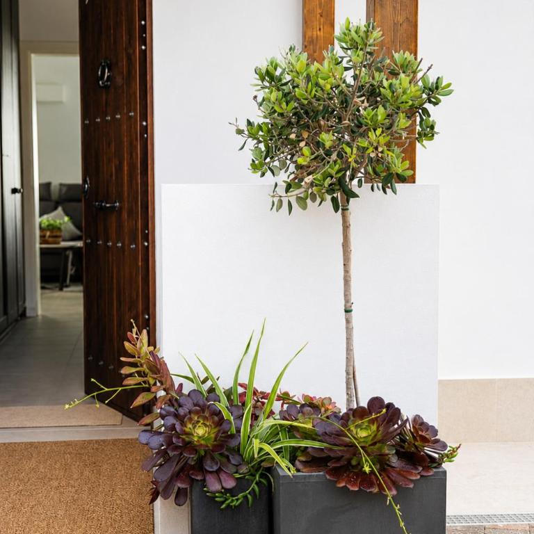 Casa Era Canaria - Villa con piscina privada - 65
