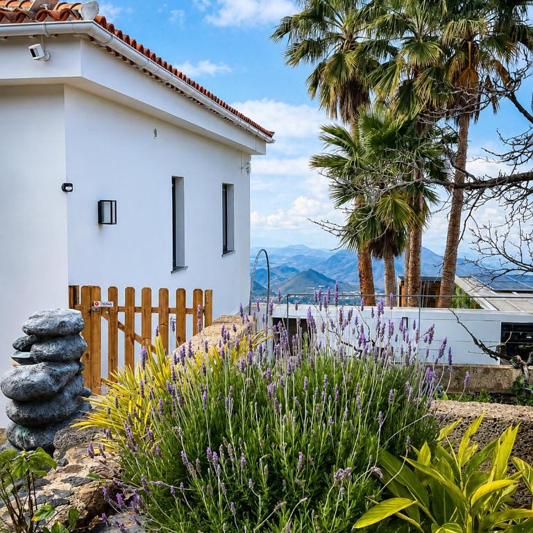 Casa Era Canaria - Villa con piscina privada - 74