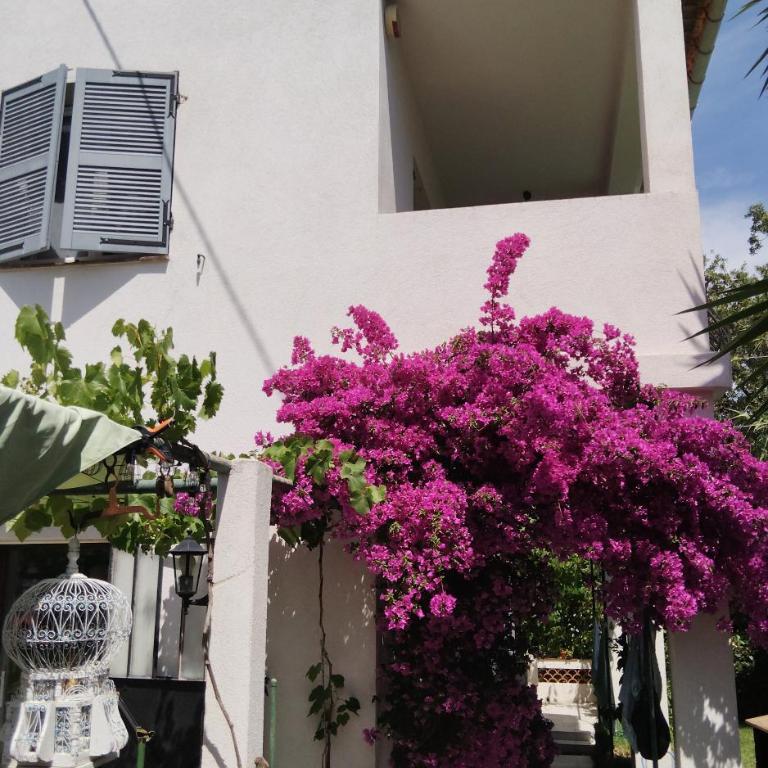 Appartement indépendant dans villa, entre Fréjus et St Raphaël - Apartment with View and Balcony - 1