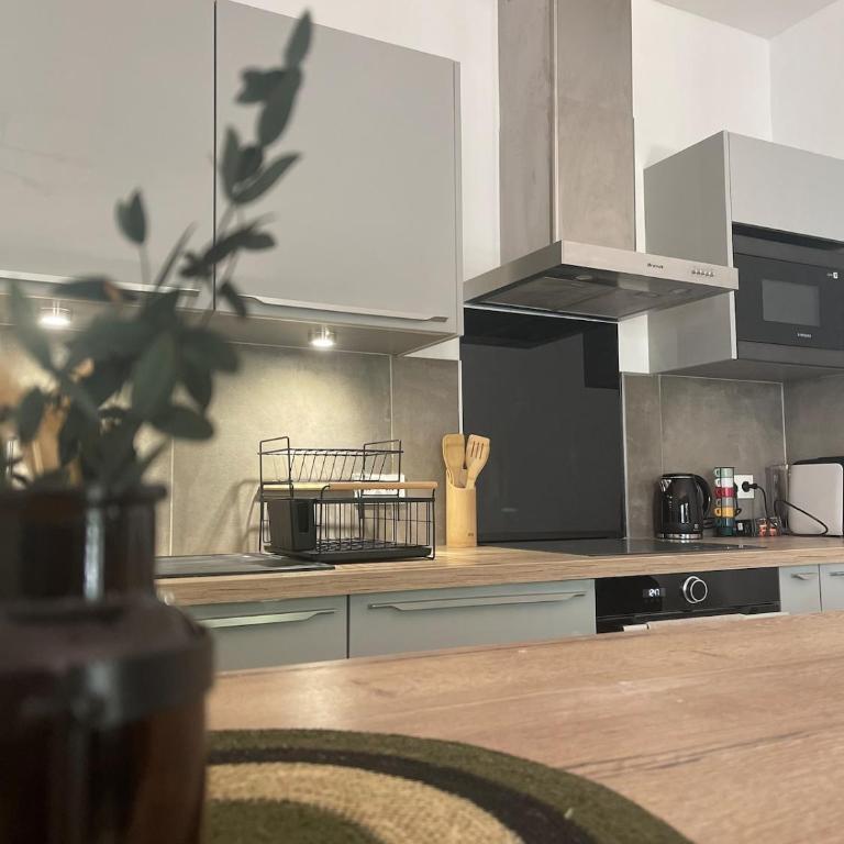 Downtown Apartment - Appartamento con 2 Camere da Letto - 2