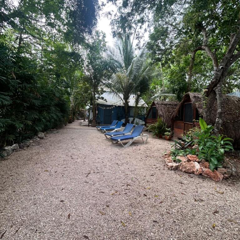 Cabañitas y Dorms - Chambre Lit Queen-Size - Vue sur Jardin - 21