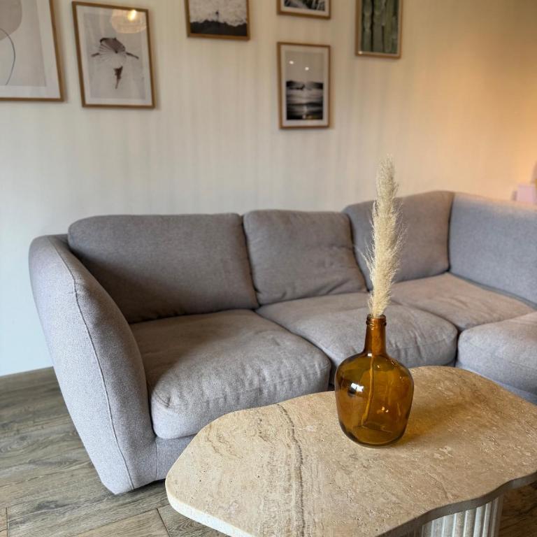Beautiful duplex 5 minutes from the center - Appartement 1 Chambre - 17
