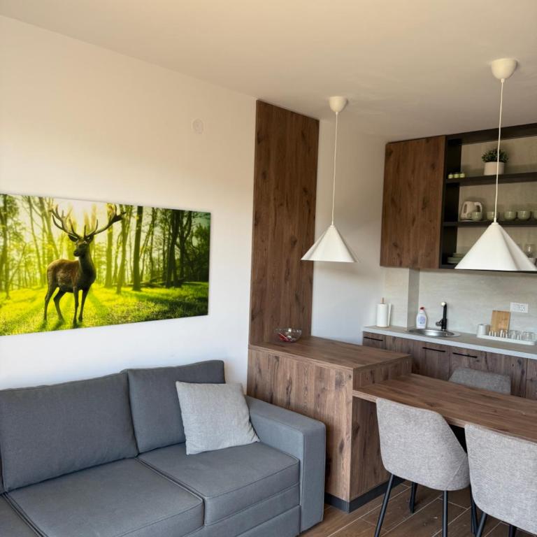 Forest apartmani - Apartment mit 1 Schlafzimmer - 5