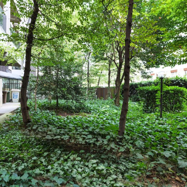 Contempora - Elvezia Park - Studio overlooking the Park - E53 - Appartement 1 Chambre - 18