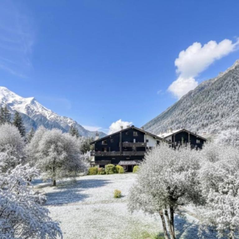 Appt in Mont Blanc view and parking - Appartamento - 17