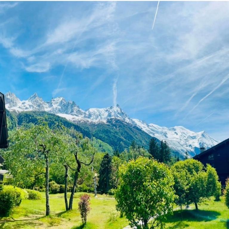 Appt in Mont Blanc view and parking - Appartamento - 23