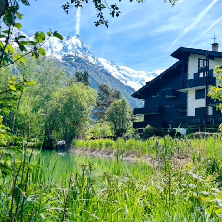 Appt in Mont Blanc view and parking - Appartamento - 24