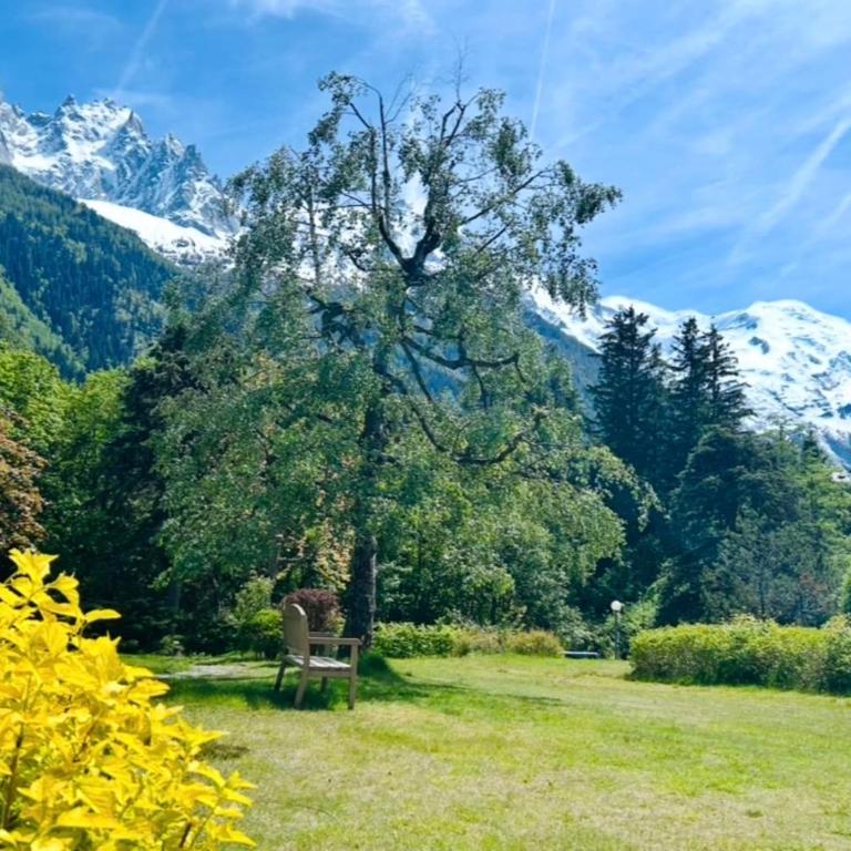 Appt in Mont Blanc view and parking - Appartamento - 25