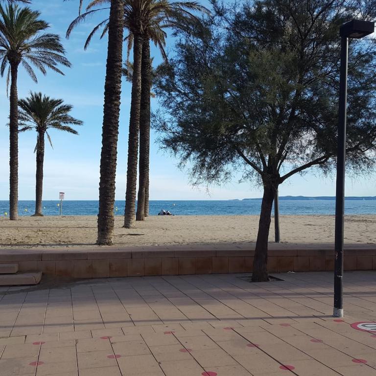 Rosas Santa Margarida large T3 proche de la mer - Apartamento de 2 dormitorios - 5
