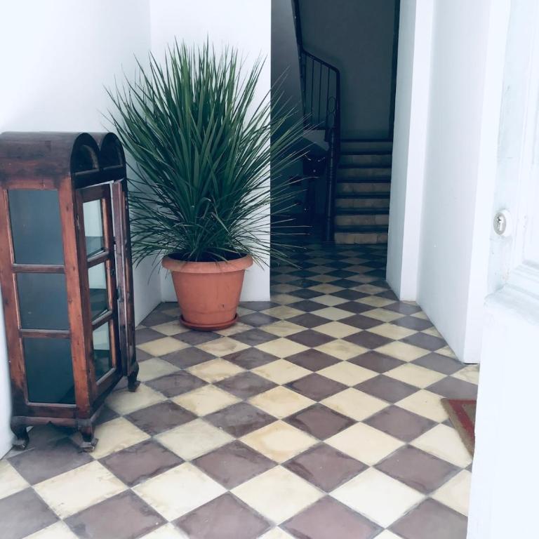 Beautiful penthouse, sea view, 100m from the beach - Appartement 3 Chambres - 20