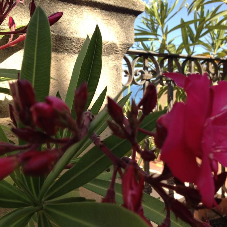 Beautiful penthouse, sea view, 100m from the beach - Appartement 3 Chambres - 23
