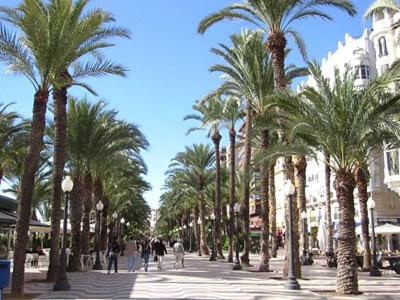 Beautiful penthouse, sea view, 100m from the beach - Appartement 3 Chambres - 24