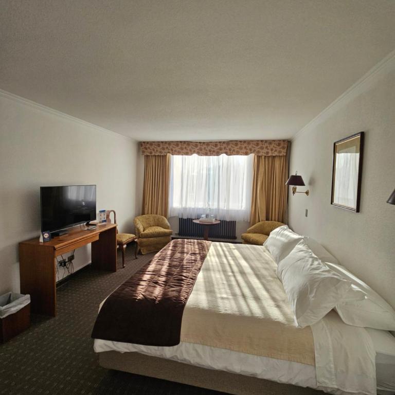 HOTEL LOS NAVEGANTES - Suite Superior con cama extragrande - 8
