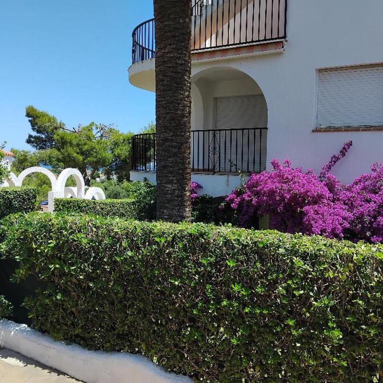 Perle de la Sierra D irta avec vue mer Peniscola - Two-Bedroom Apartment - 7