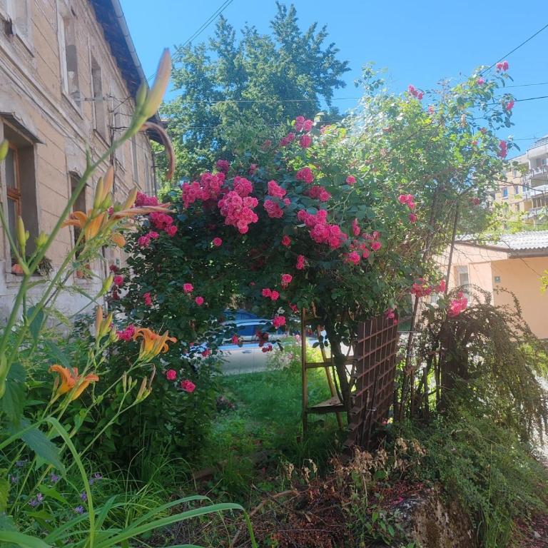 Cozy Stay Sarajevo - Appartement 2 Chambres - 6