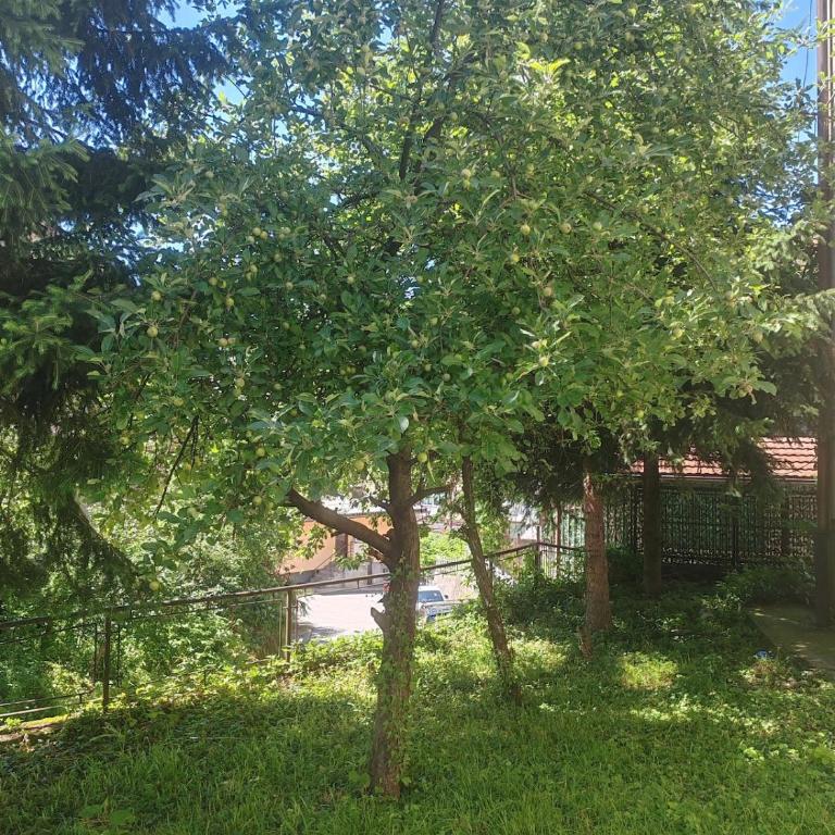 Cozy Stay Sarajevo - Appartement 2 Chambres - 7