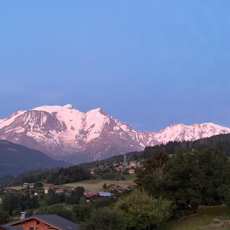 Ecrin des Glaciers Notre Petit Chez Nous - Appartement 1 Chambre - 15
