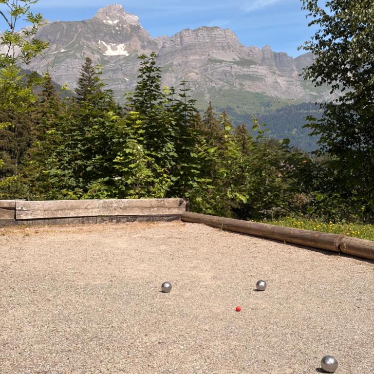 Ecrin des Glaciers Notre Petit Chez Nous - Appartement 1 Chambre - 10