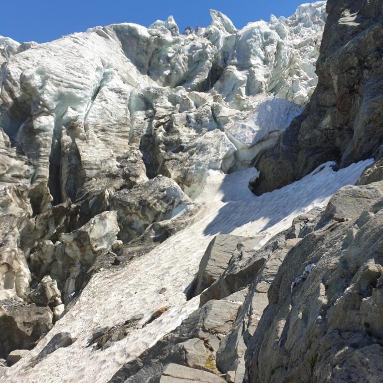Royal Stratton 3 en-suites facing Grands Montets - Appartement - 30