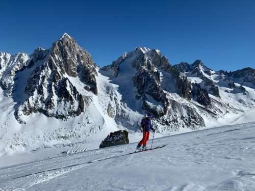 Royal Stratton 3 en-suites facing Grands Montets - Appartement - 35