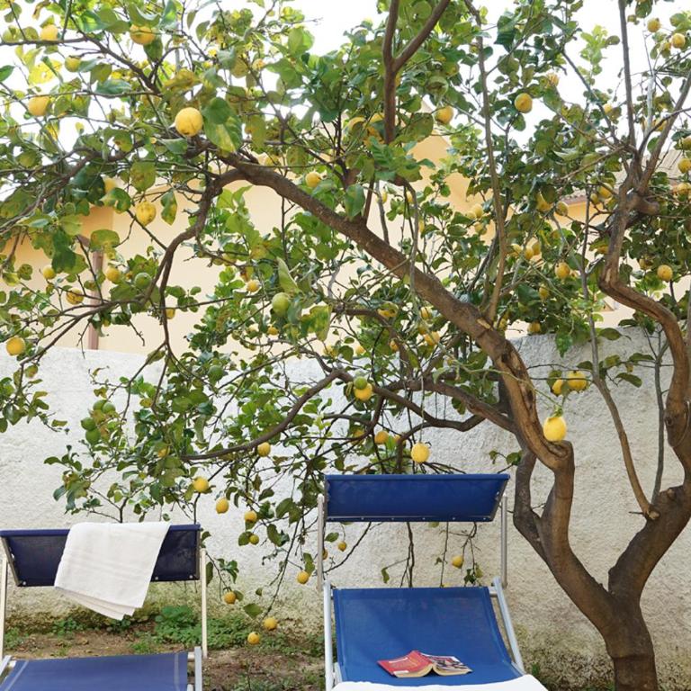 Bono Vacanze Casa Bono - Vacation Home - 18