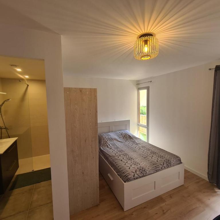 Avignon Intra-Muros Apartment - Apartment - 27