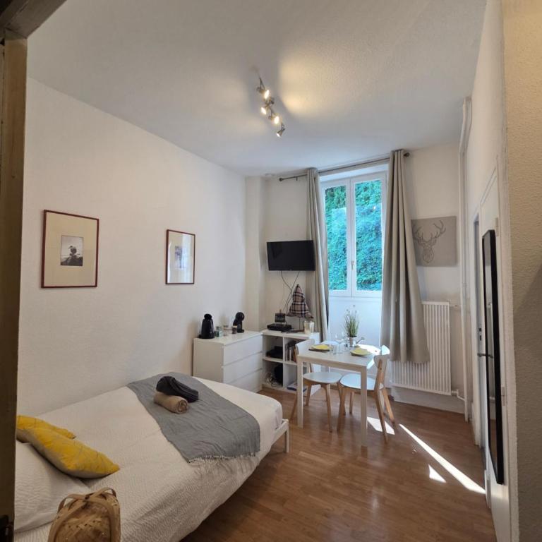 studio de charme à uriage les bains - One-Bedroom Apartment - 1