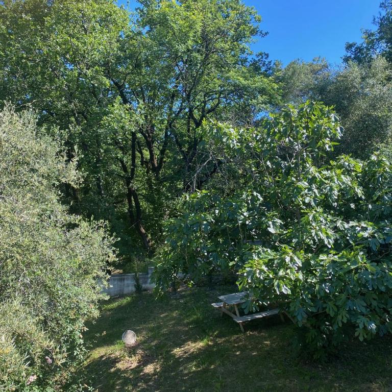 Appart 6 personnes au vert, Côte d'Azur - Appartement 2 Chambres - 19