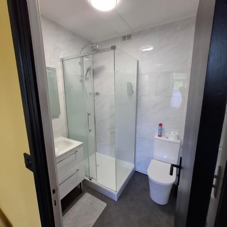 Appartement Centre ville avec parking gratuit - One-Bedroom Apartment - 12
