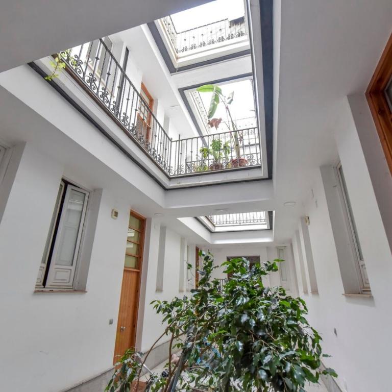 Apartamento Alameda - Apartamento - 11