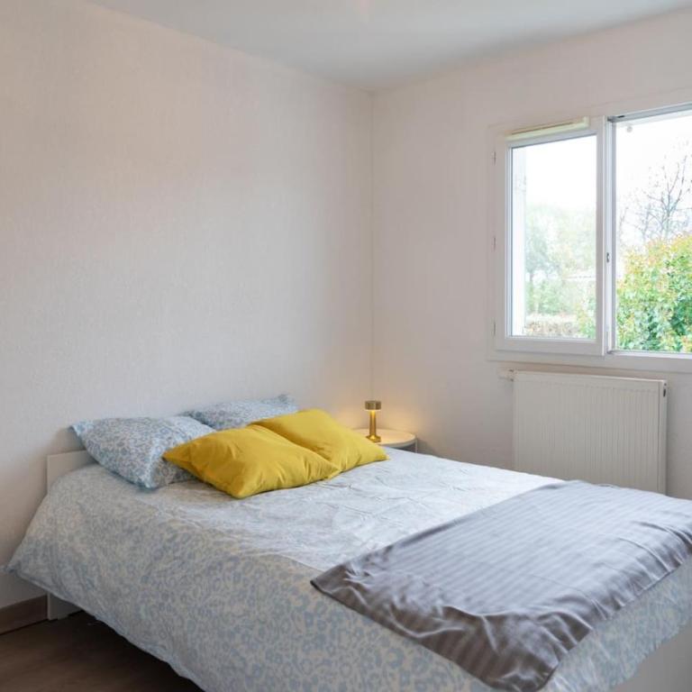 Maison tout confort proche ocean Seignosse - Casa Vacanze - 20