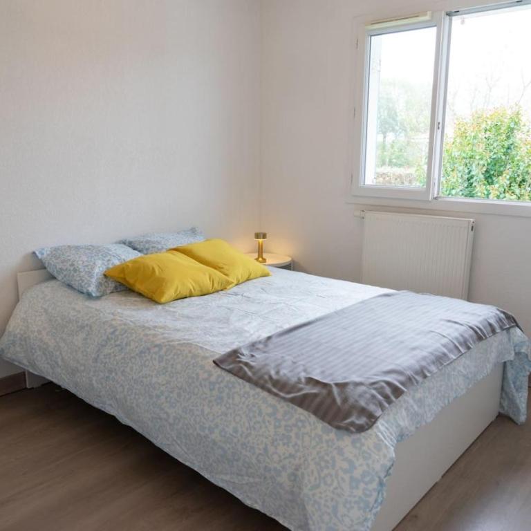 Maison tout confort proche ocean Seignosse - Casa Vacanze - 21