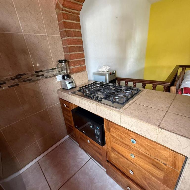 CASA Golondrinas PV - Two-Bedroom House - 31
