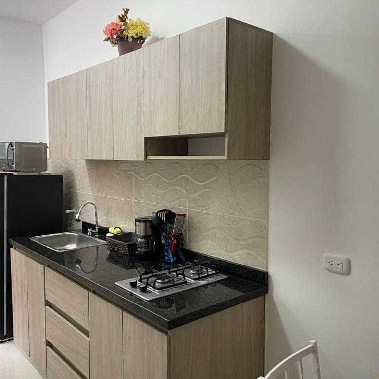 Edificio Limonatta - One-Bedroom Premier Apartment - 2