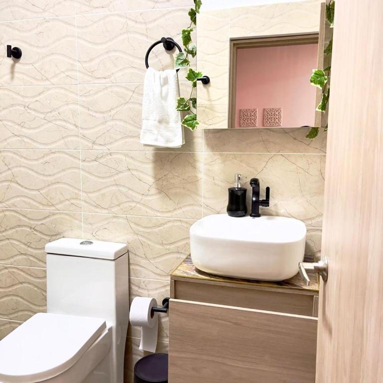 Edificio Limonatta - One-Bedroom Premier Apartment - 3