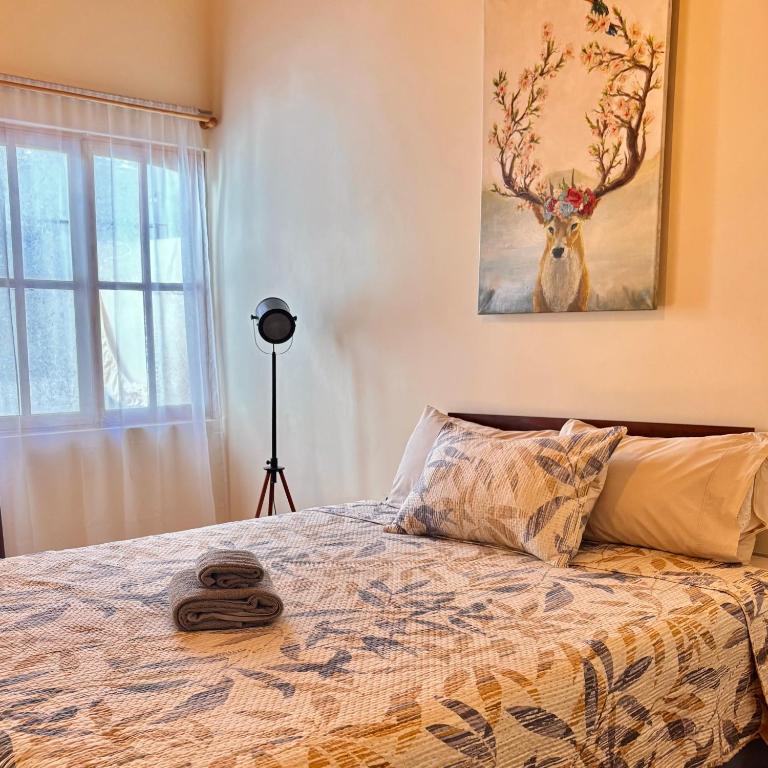 Escape de pareja Casa privada San Pedro - Apartamento de 1 dormitorio - 4